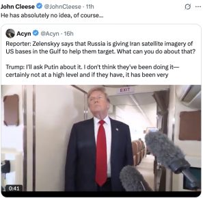 Intelligence